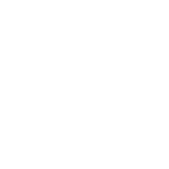 dizzieslogo